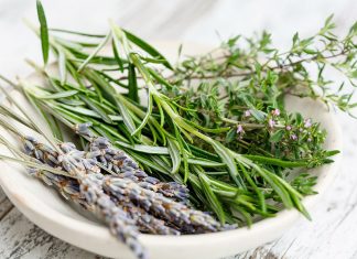 Herbs