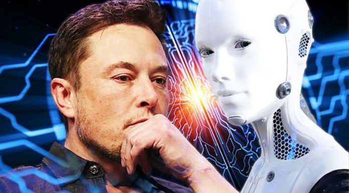 Find What Elon Musk Said About Real World AI What Elon Musk Said About Real World AI