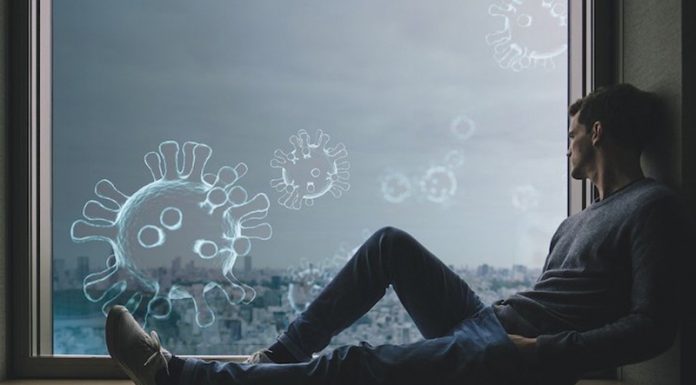 Lockdown Impact on Small Businesses