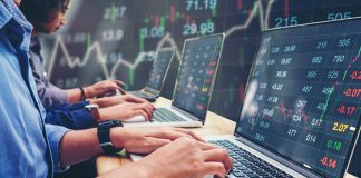 crypto trading career