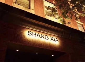 To Harness the Power of Purpose, Brands Must Have a Mission Shang Xia