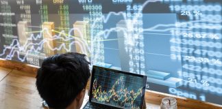 Top Traders in the Forex and Stock Markets