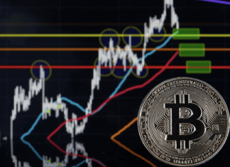 bitcoin rising