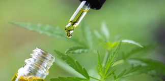 CBD Flowers: What It Is, Where You Can Find It And Main Uses CBD Flowers