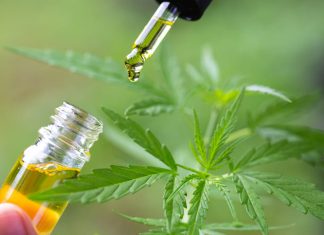 CBD Flowers