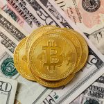To Invest or Not to Invest in Bitcoin bitcoin