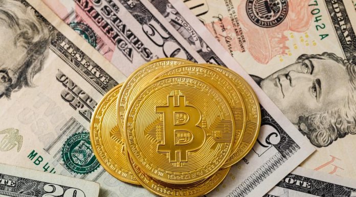To Invest or Not to Invest in Bitcoin bitcoin