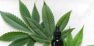 CBD And Cannabis Market