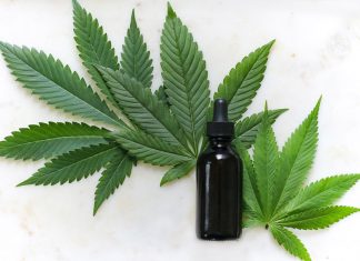 CBD And Cannabis Market