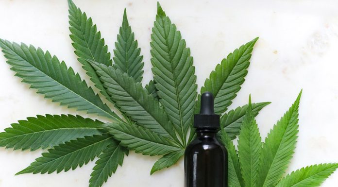 CBD And Cannabis Market