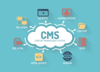 custom cms development