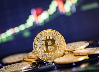 bitcoin as your trading option