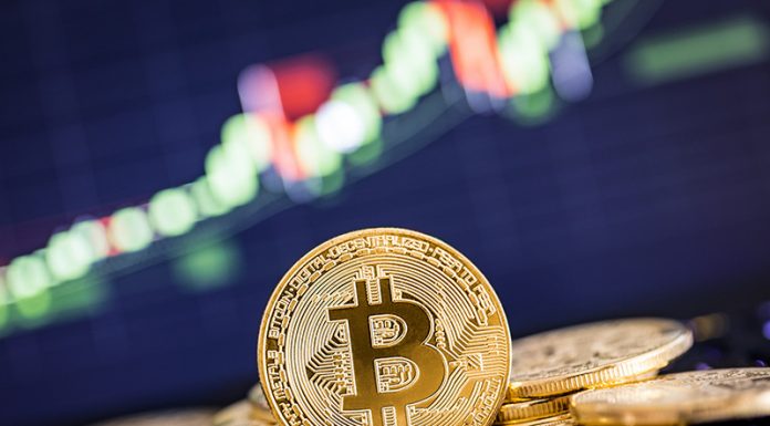 Most prominent reasons to choose bitcoin as your trading option bitcoin as your trading option