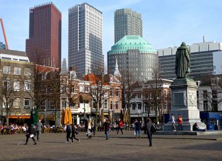 Company in The Netherlands