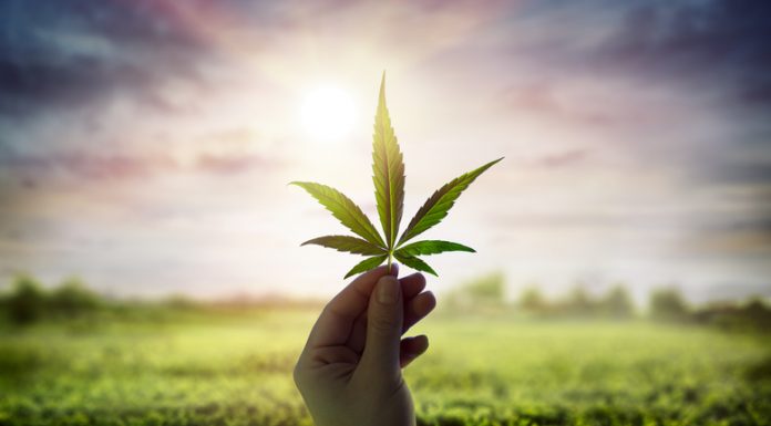 Innovations to Expect from the Marijuana Industry