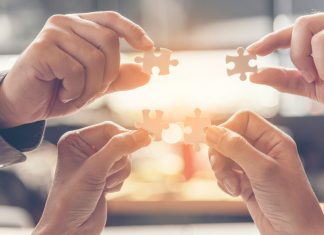 Company Brands as Purpose-driven Lived Experience Ecosystems stakeholders