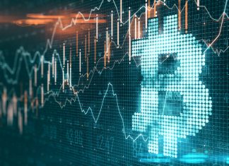 The Impact of Cryptocurrencies on Changes in the IT Industry crypto