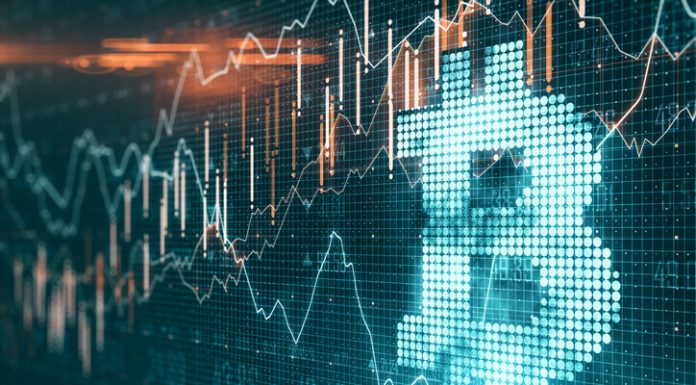 The Impact of Cryptocurrencies on Changes in the IT Industry crypto