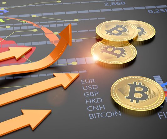 A beginner guide to valuation of Bitcoin and other cryptocurrencies bitcoin