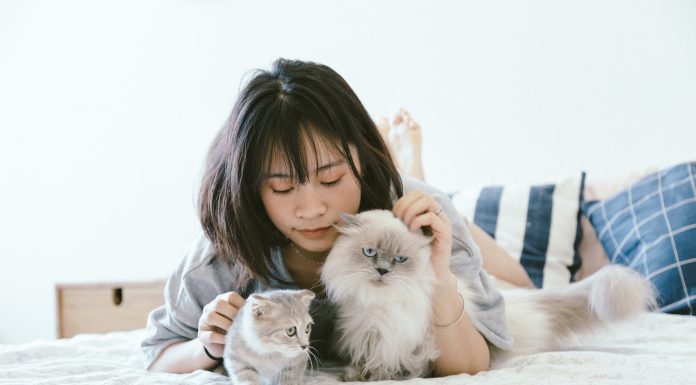 7 Simple Tips to Keep Your Pet Healthy During Pandemic