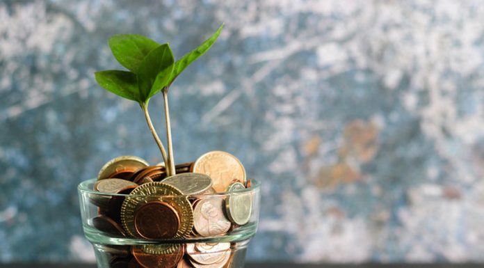 Digital Coupon Marketing