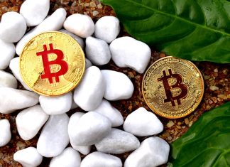 Cryptocurrencies Are Going Green, and They Aren’t Stopping Cryptocurrency