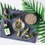 Amazing Facts about CBD