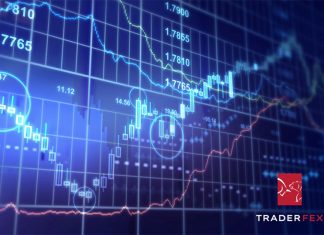 Traderfex