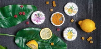 Cannabis Edible Infusion Method