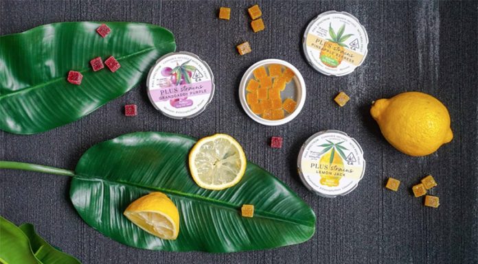 The Importance of the Cannabis Edible Infusion Method Cannabis Edible Infusion Method