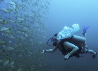 Top 4 Deep Sea Fishing Baits and Lures to Use deep sea fishing baits