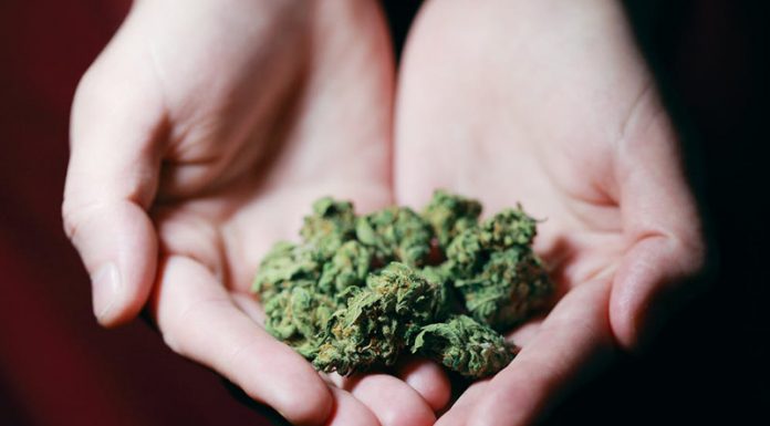 How to Ace Your Health Game with Cannabis in 2021 Cannabis