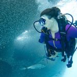 Deep Sea Fishing Baits and Lures