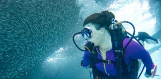 Deep Sea Fishing Baits and Lures