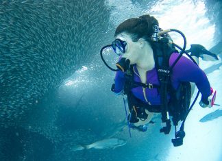 Deep Sea Fishing Baits and Lures