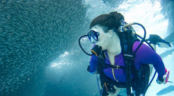 Deep Sea Fishing Baits and Lures