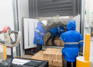 Shipping Frozen Foods