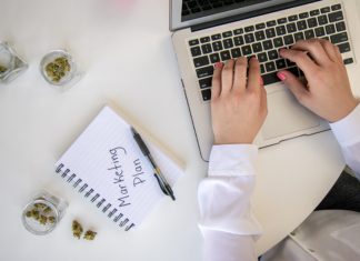 Promote Your CBD Business Online