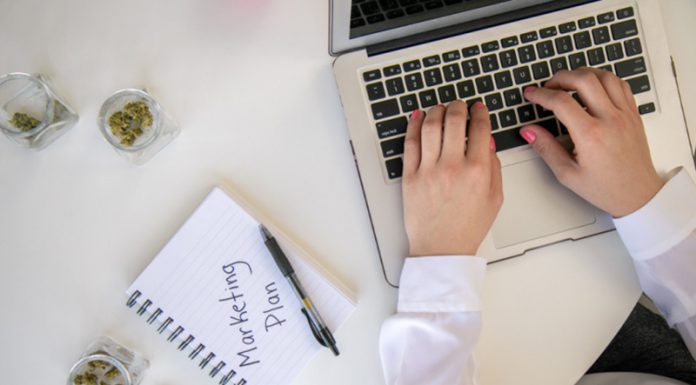 Promote Your CBD Business Online