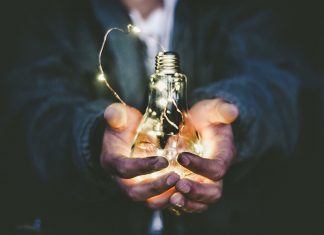 Email Marketing Advice for Sustainable Businesses