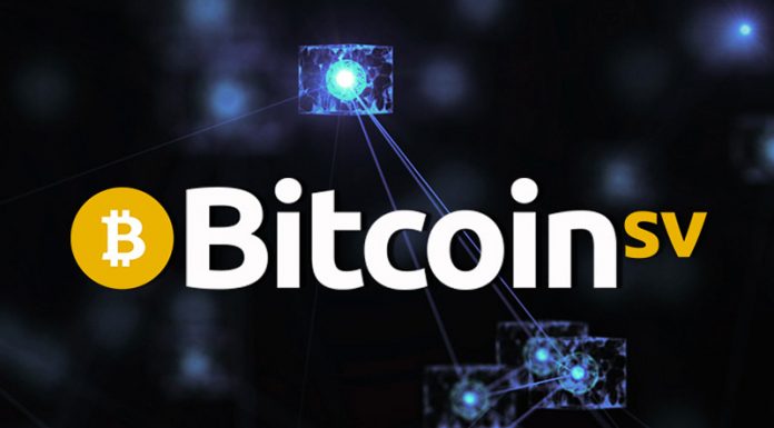 BSV Detection Tools Exhibit Efficiency When Faced with Malicious Attacks BSV