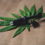 7 Tips For Choosing The Best Wholesale CBD And Delta 8 Distributor