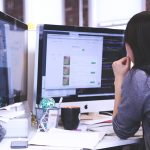 Software Developer Job