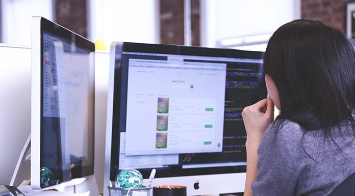 Software Developer Job