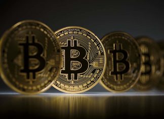 Here you can find everything you need to know about bitcoin bitcoin