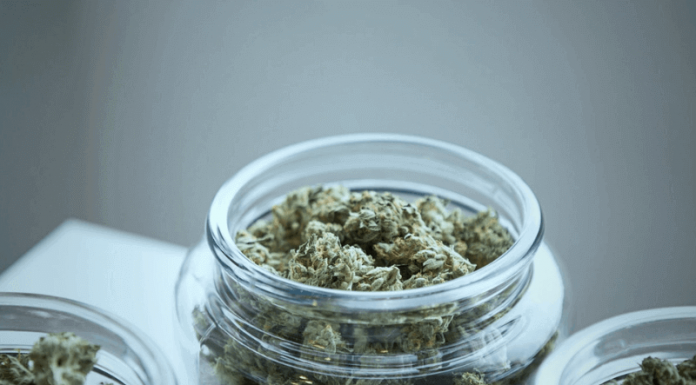 6 Tips To Enter Into The Kratom Business