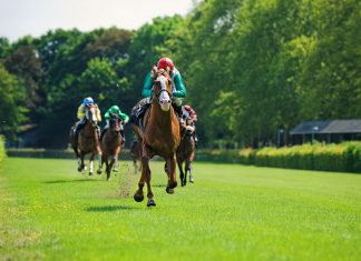 Unibet Stewards Cup
