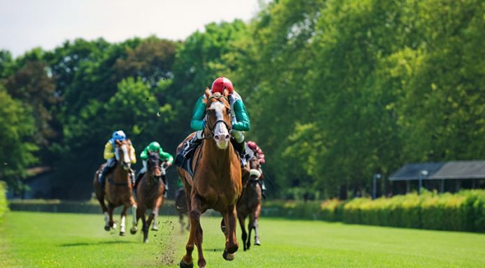 Unibet Stewards Cup: One horse, owner and trainer to look out for Unibet Stewards Cup