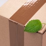 Shipping packages overseas in a sustainable manner