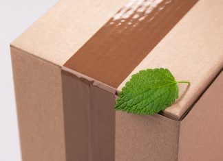 Shipping packages overseas in a sustainable manner